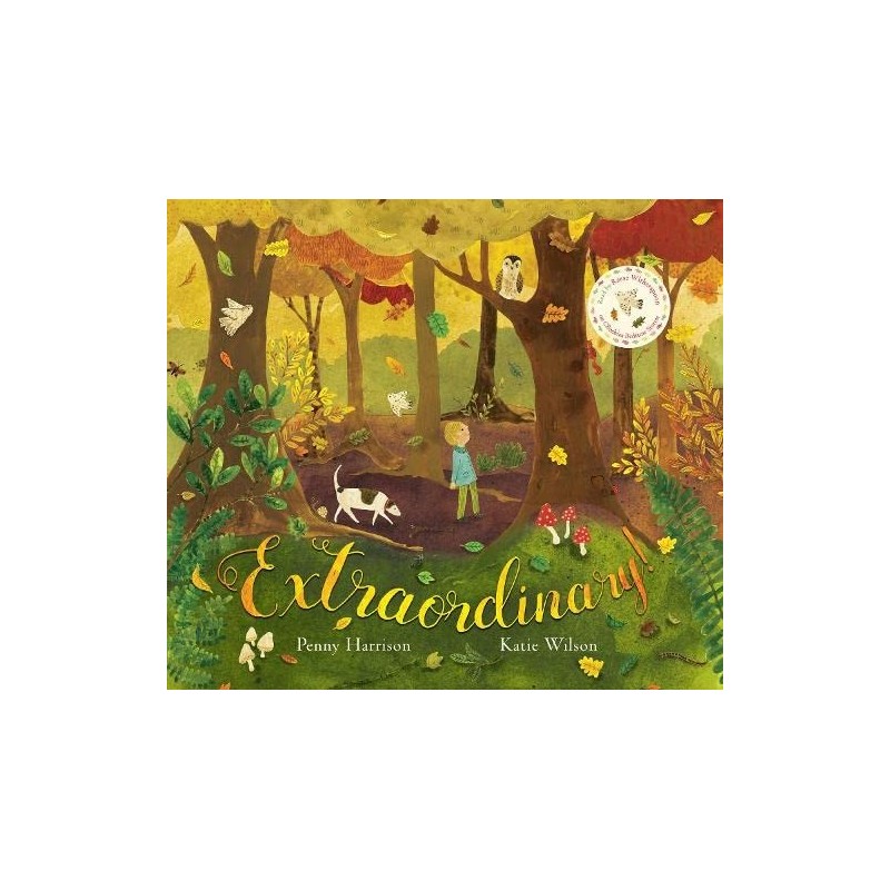 Extraordinary! Picture Book