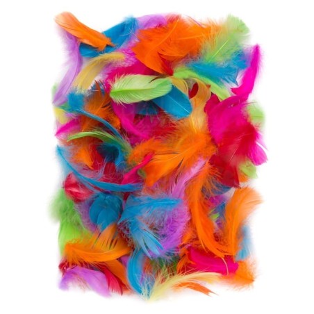 Assorted Bright Feathers 5-12cm Pack