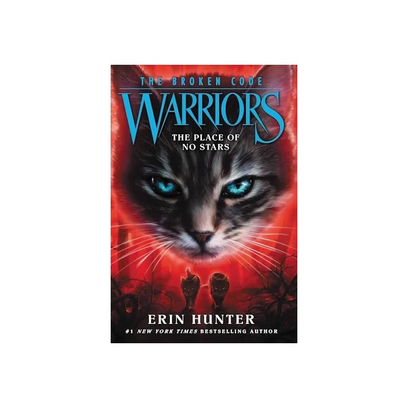 The Broken Code Warriors: The Place of No Stars