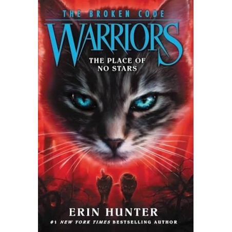 The Broken Code Warriors: The Place of No Stars