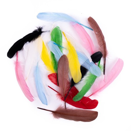 Goose Featers 16cm Multicolour (Pack of 20)