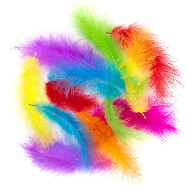 Turkey Feathers 10-15cm Bright Colour (Pack of 30)