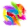 Turkey Feathers 10-15cm Bright Colour (Pack of 30)