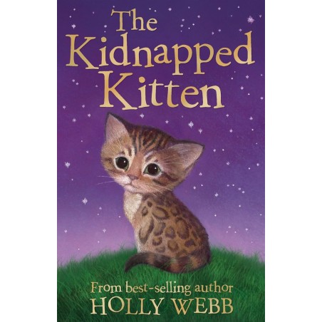 The Kidnapped Kitten (Holly Webb) Age: 7+