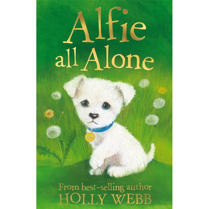 Alfie All Alone (Holly Webb) Age: 7+