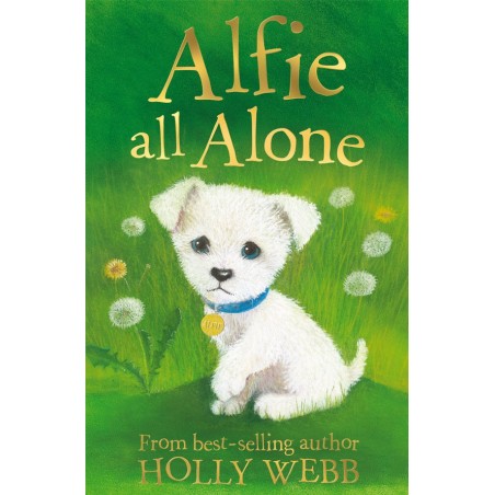Alfie All Alone (Holly Webb) Age: 7+