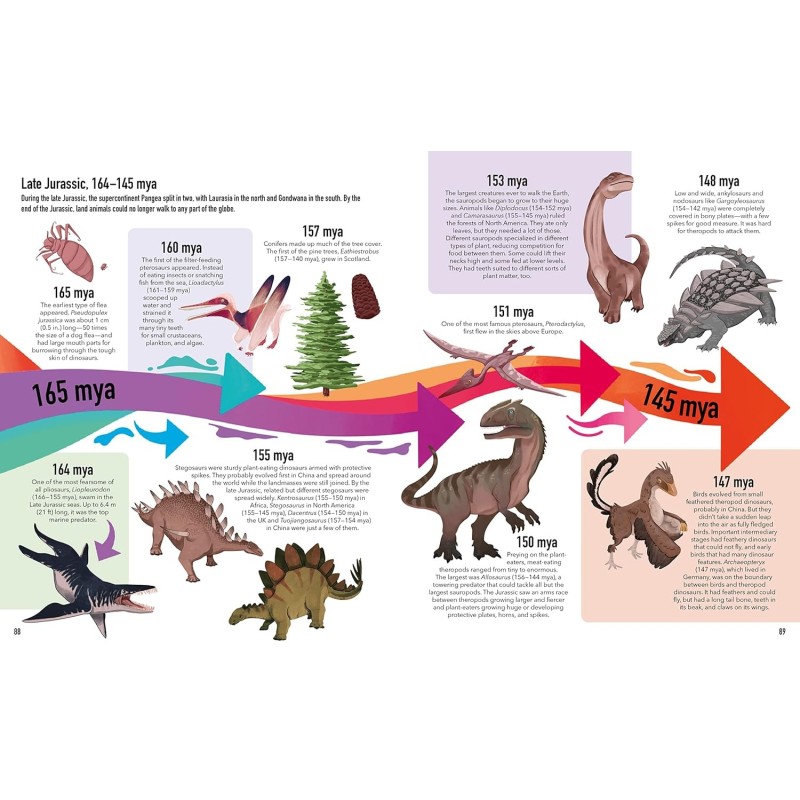 Visual Timelines: Life on Earth