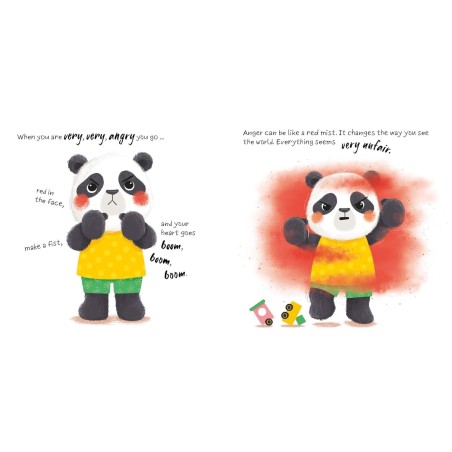 My Angry Book Picture Book