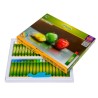 Oil Pastels (Pack of 36)