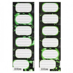 Green Football Exercise Book Labels (2 Sheets - 12 Labels)