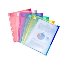 A4 Plastic Envelope with Punched Margin