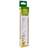 HB Natural Pencils (Pack of 12)