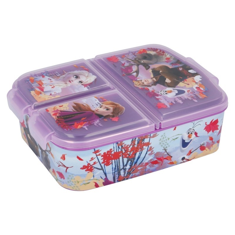 Frozen Multi Compartment Lunchbox