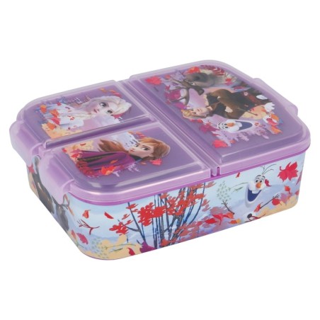 Frozen Multi Compartment Lunchbox