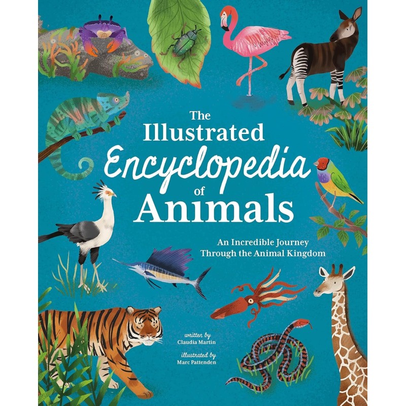 The Illustrated Encyclopedia of Animals (Hardback)
