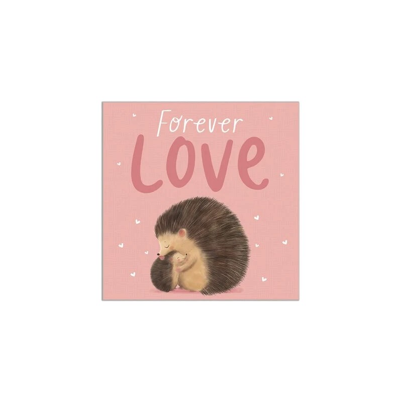 Forever Love Picture Book