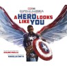 A Hero Looks Like You Picture Book