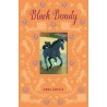 Black Beauty (Arcturus Classics)