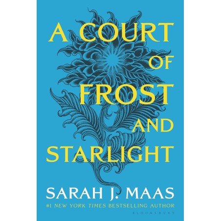 A Court of Frost and Starlight (Sarah J. Maas)