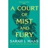 A Court of Mist and Fury (Sarah J. Maas)